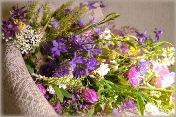 обоя цветы, луговые , полевые,  цветы, букет