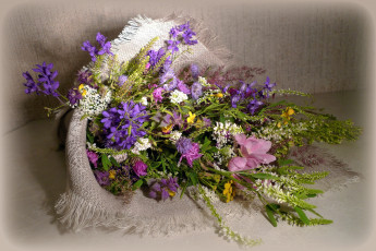 Картинка цветы луговые+ полевые +цветы букет