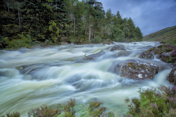 Картинка природа реки озера лес река пороги