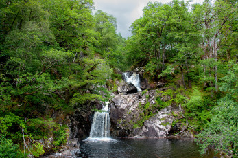 Картинка природа водопады лес река водопад