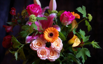 Картинка цветы разные+вместе бутоны