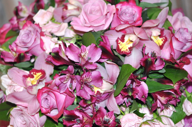 Обои картинки фото цветы, разные вместе, орхидеи, розы, альстромерия