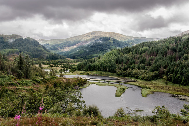 Обои картинки фото природа, реки, озера, горы, лес, река