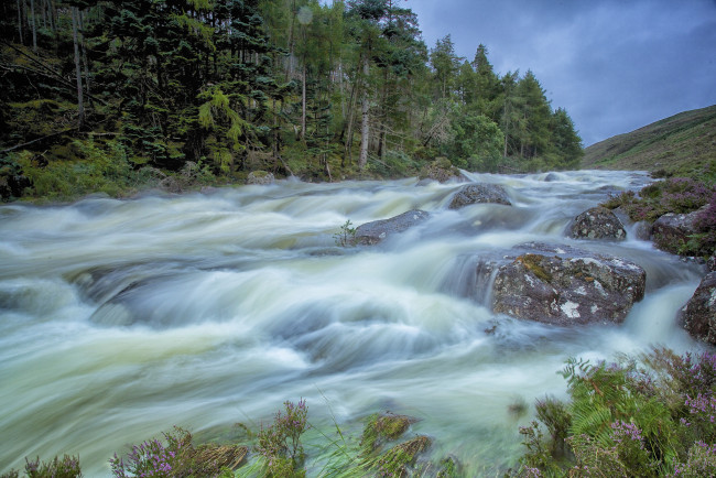 Обои картинки фото природа, реки, озера, лес, река, пороги