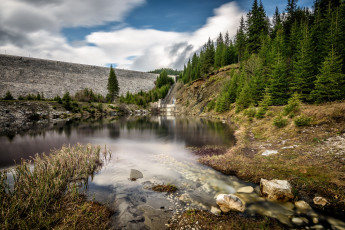 Картинка природа реки озера река лес