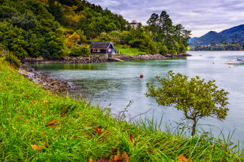 Картинка природа реки озера река лес горы