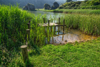 Картинка природа реки озера река лес горы