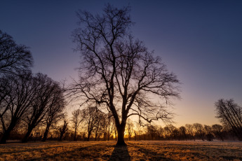 Картинка природа восходы закаты рассвет