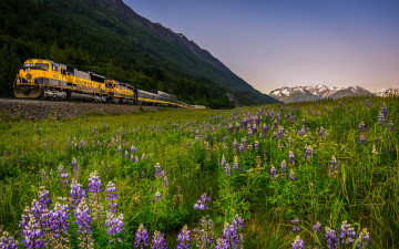 Картинка техника поезда рельсы локомотив состав дорога железная