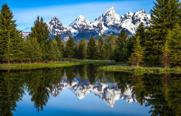 Картинка природа реки озера ель горы сша вайоминг grand teton national park озеро отражение деревья снег река небо