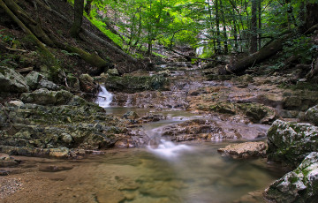 Картинка природа реки озера река лес