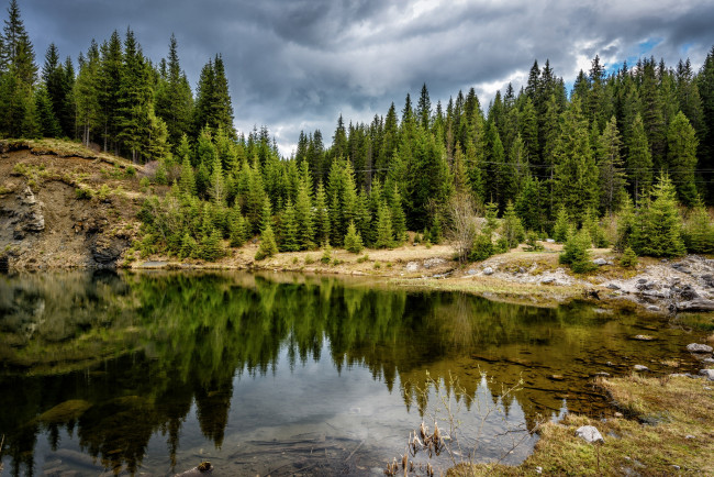 Обои картинки фото природа, реки, озера, река, лес