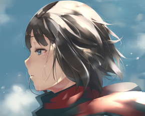 Картинка аниме shingeki+no+kyojin девушка