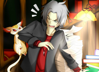 Картинка аниме katekyo+hitman+reborn гокудера хаято