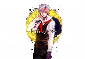 Картинка аниме +gray-man парень