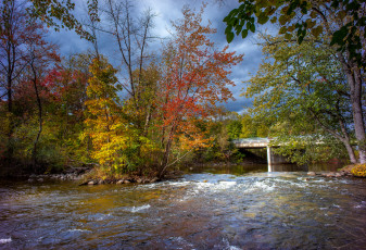 Картинка природа реки озера река лес