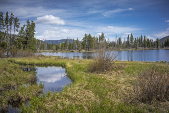 Картинка природа реки озера лес река