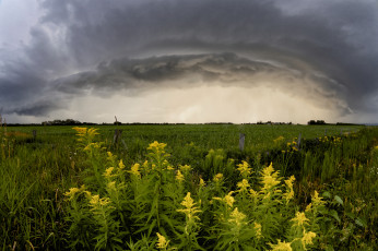 Картинка природа луга простор