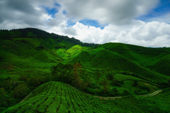 Картинка природа пейзажи простор