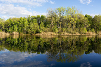 Картинка природа реки озера река лес