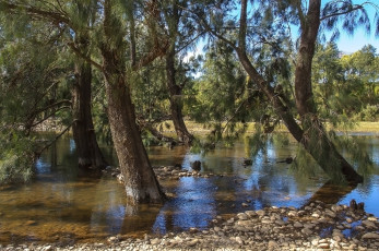 Картинка природа реки озера лес река