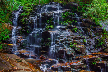 Картинка природа водопады водопад река лес