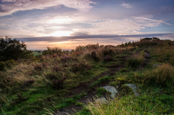 Картинка природа пейзажи простор