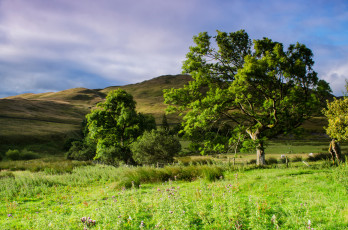 Картинка природа пейзажи простор