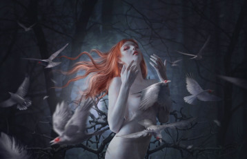 Картинка фэнтези фотоарт готика девушка вороны