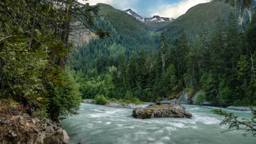 Картинка природа реки озера лес река