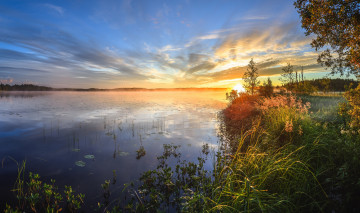 Картинка природа восходы закаты лес река