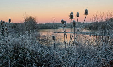 Картинка природа реки озера лес река