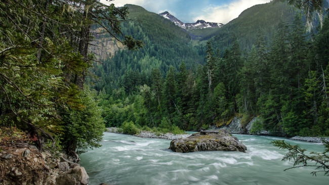 Обои картинки фото природа, реки, озера, лес, река