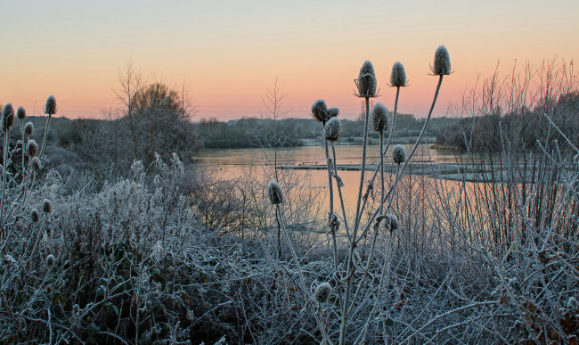Обои картинки фото природа, реки, озера, лес, река