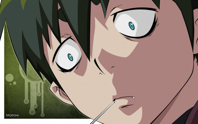 Обои картинки фото аниме, ao no exorcist, амаймон