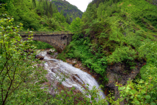 Обои картинки фото природа, реки, озера, лес, река