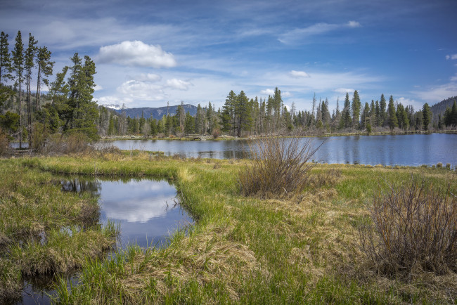 Обои картинки фото природа, реки, озера, лес, река