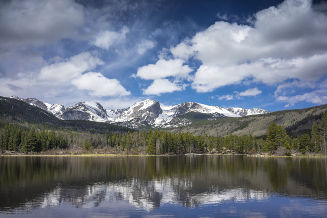 Обои картинки фото природа, реки, озера, река, лес