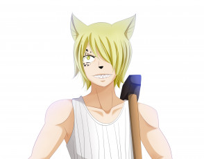 Картинка аниме fairy+tail хвост феи