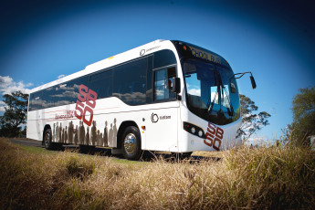 Картинка автомобили автобусы custom