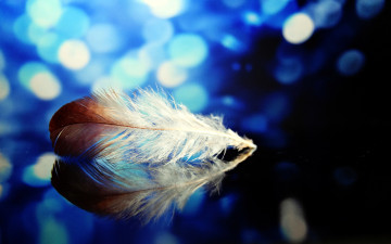 Картинка разное перья отражение