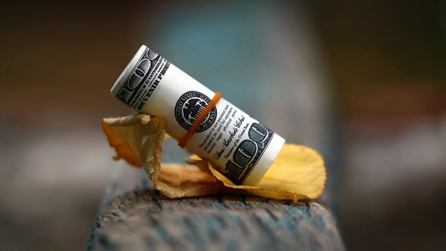 Обои картинки фото разное, золото,  купюры,  монеты, лист, доллары, банкнота