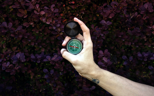 Обои картинки фото разное, руки, рука, тату, компас