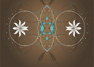 обоя векторная графика, цветы , flowers, узоры, симметрия, орнамент
