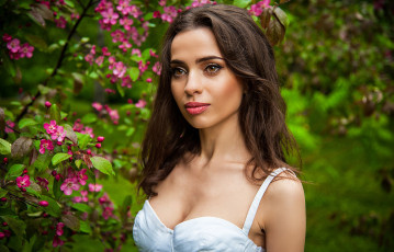 Картинка девушка девушки -unsort+ брюнетки темноволосые модель