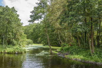 Картинка природа реки озера простор