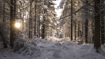 Картинка природа зима простор