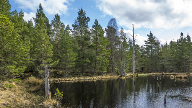 Обои картинки фото природа, реки, озера, простор