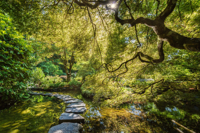 Обои картинки фото природа, реки, озера, простор