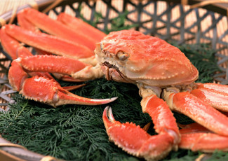 Картинка еда рыба +морепродукты +суши +роллы краб